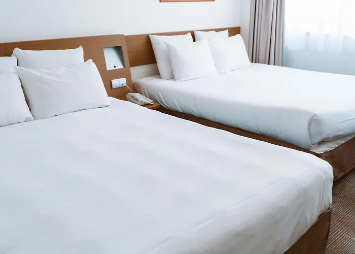 Hotel Novotel & Biarritz 4*